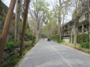 下鴨神社 次の鳥居への参道