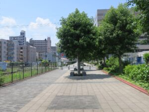 門司 ノーフォーク広場から門司港レトロエリアに向かう遊歩道 北九州銀行レトロライン沿いを歩きます