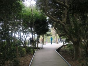 志摩 横山展望台 その先に木もれ日テラスがあります