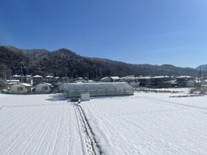 秩父鉄道線 和銅黒谷駅付近 今日は雪深い日でした