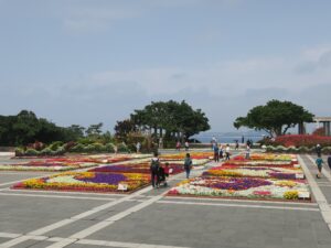 国営沖縄記念公園 海洋博公園 中央ゲート先の花壇