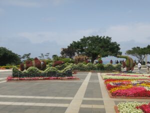 国営沖縄記念公園 海洋博公園 中央ゲート先の花壇
