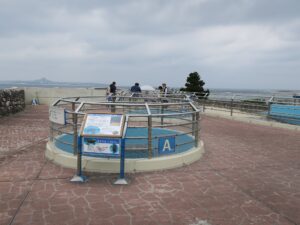 国営沖縄記念公園 海洋博公園 沖縄美ら海水族館 ウミガメ館 地上