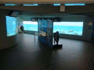 国営沖縄記念公園 海洋博公園 沖縄美ら海水族館 水槽を地下から