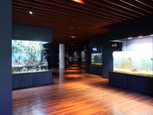 新潟市水族館 マリンピア日本海 潮風の風景エリア
