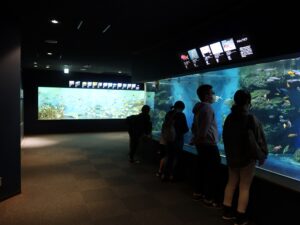 新潟市水族館 マリンピア日本海 暖流の旅エリア