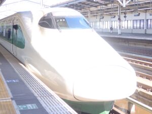 JR東北新幹線 E2系 やまびこ 200系リバイバル塗色 前面 宇都宮駅にて撮影