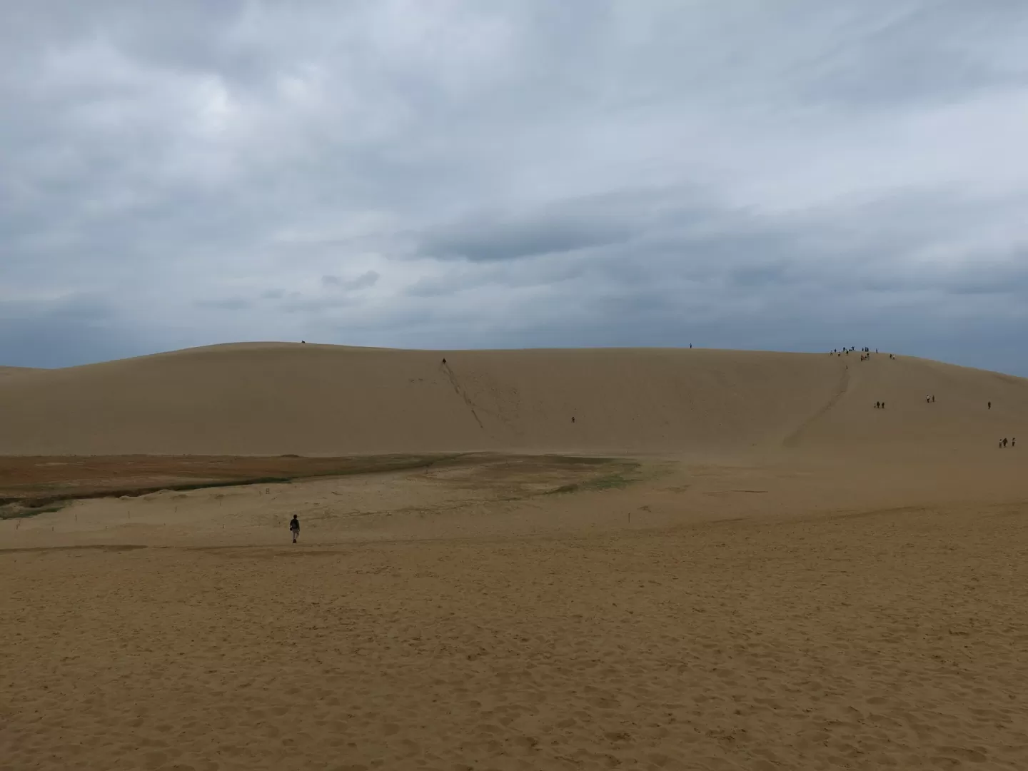 鳥取砂丘 砂丘入口から先に進んだところにある大きな砂山