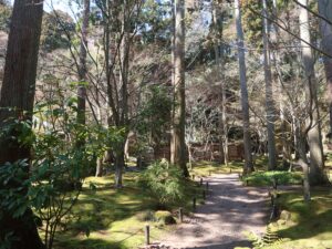 松島 円通院 禅林瞑想の庭