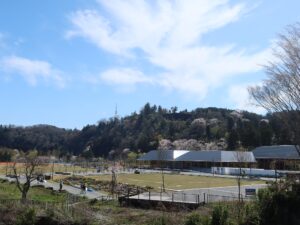 青葉山公園 仙台城跡 本丸跡の石垣がふもとから見えます