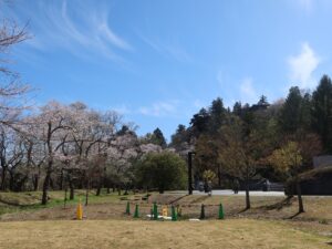 青葉山公園 仙台城跡 三ノ丸付近 仙台市博物館と本丸の石垣