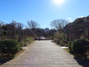 横浜 港の見える丘公園 香りの庭 沈床花壇