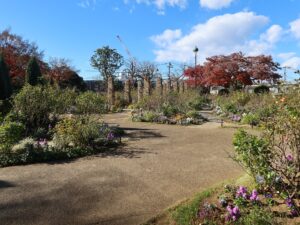 横浜 港の見える丘公園 ローズガーデン