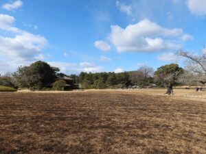 岡山後楽園 藤棚と蘇鉄畑を抜けたところ 冬なので焼き畑をした後のようになっています