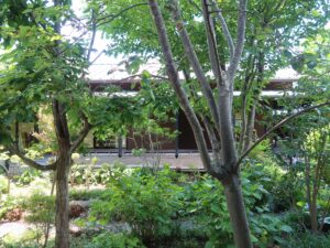 杉戸天然温泉 雅楽の湯 中庭と足湯