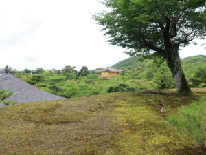 京都 鹿苑寺 金閣寺 金閣のビュースポット