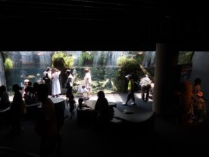 京都水族館 京の川エリア
