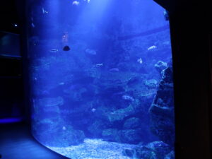 京都水族館 京の海エリア