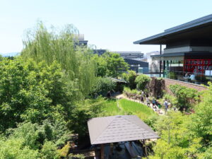 京都水族館 京の里山エリア 上から撮影