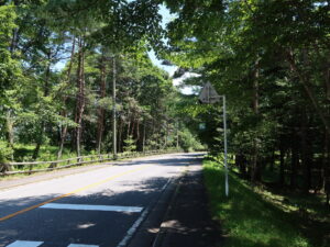 草津温泉 ベルツ通り 道路は森の中を通ります