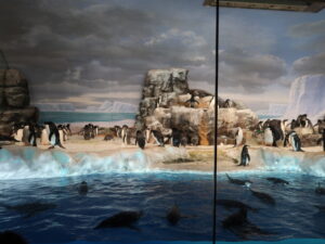 名古屋港水族館 南館 南極の海エリア ペンギン