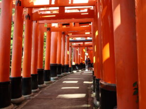 京都 伏見稲荷大社 千本鳥居 三叉路～三叉路